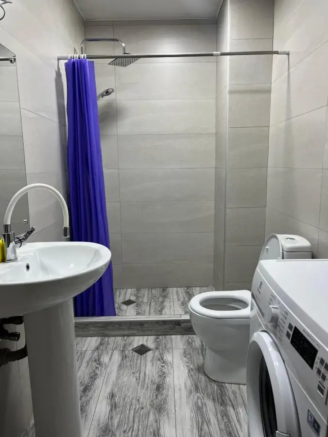 Bakuriani Apartment