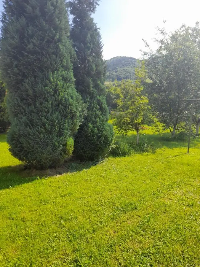 Villa "Bosnia"