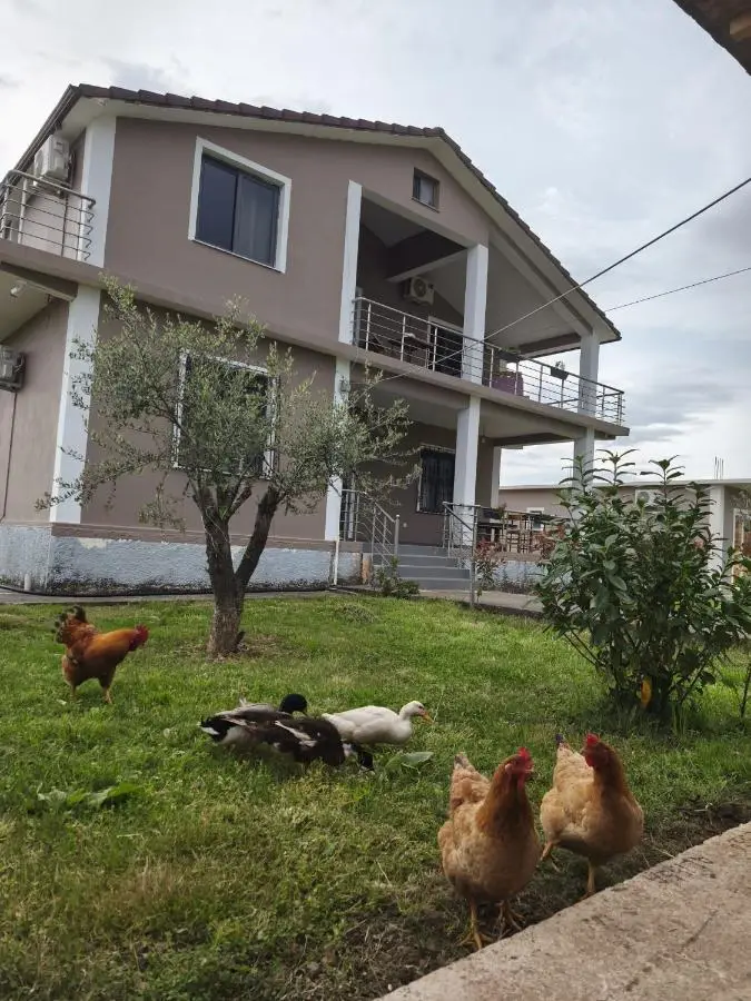 Hotel Ballkan Shkoder