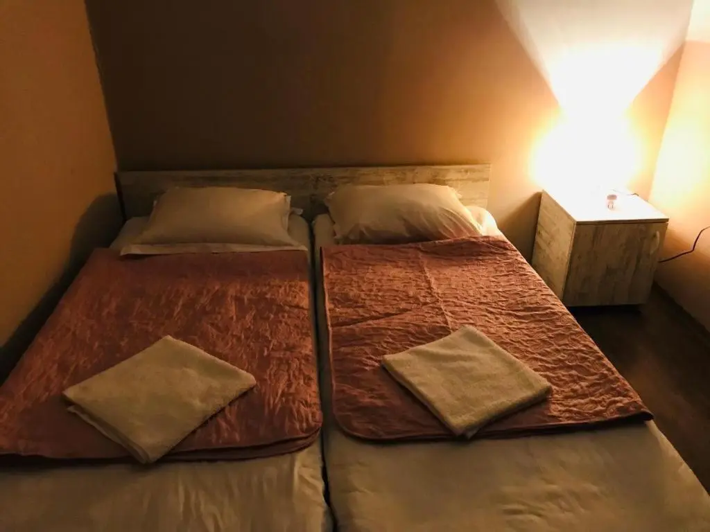 Guest House Check in Borjomi