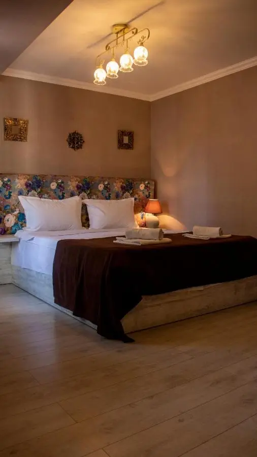 Hotel New Metekhi