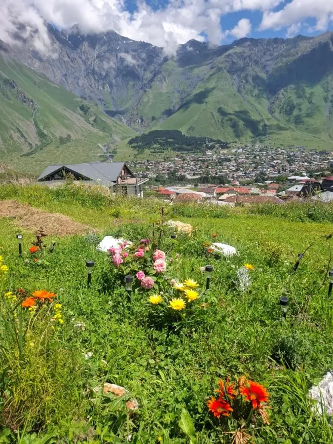 Cottage Mountain crystal kazbegi