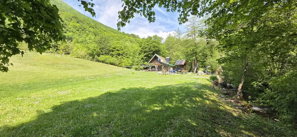 Nina's Cabin