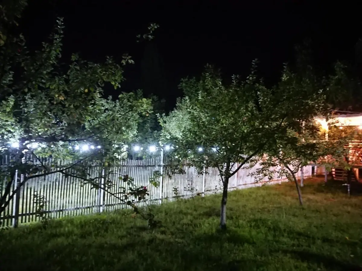 Our Garden