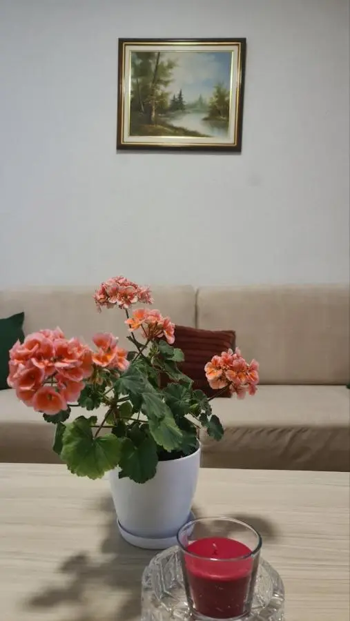 Vila Marija