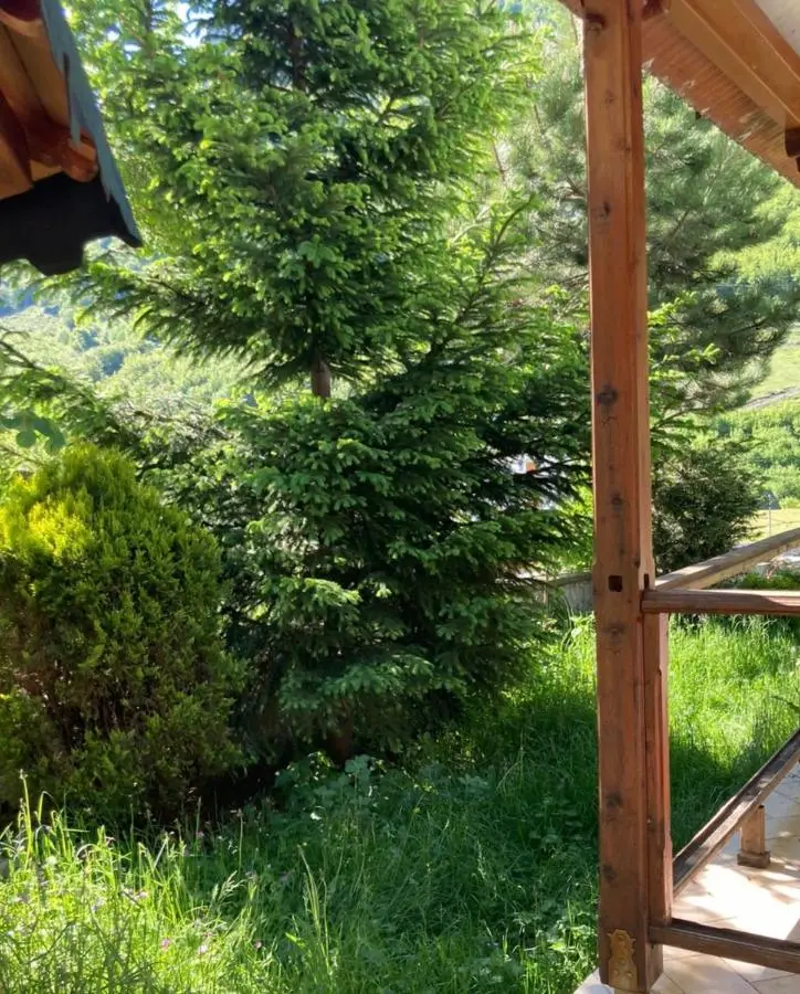 Paja Guesthouse - Camping