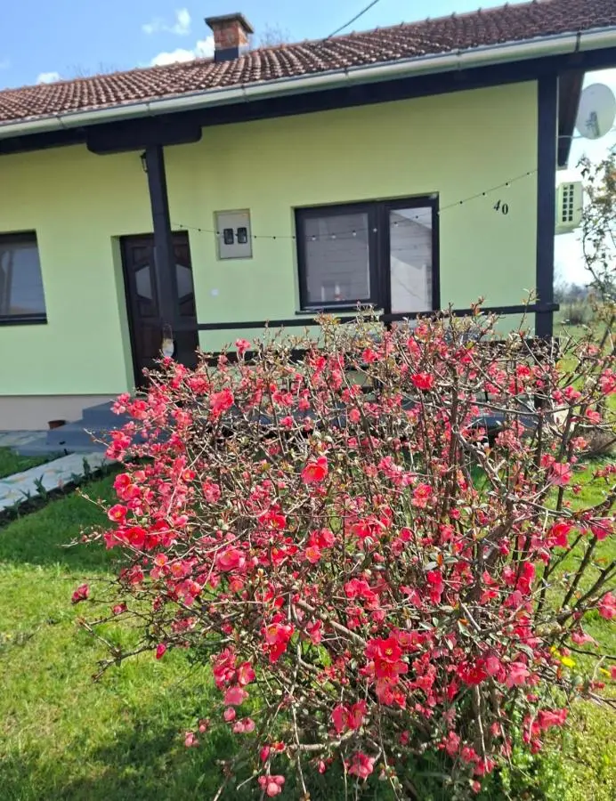 Bosiljak kuca za odmor