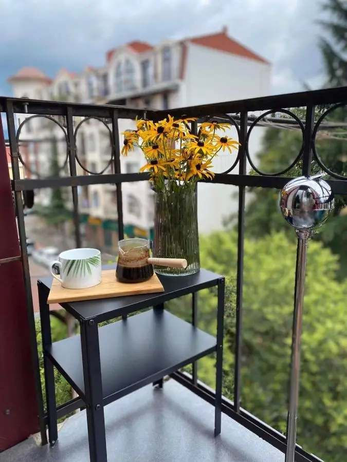 Renovated Apartment in Central Batumi