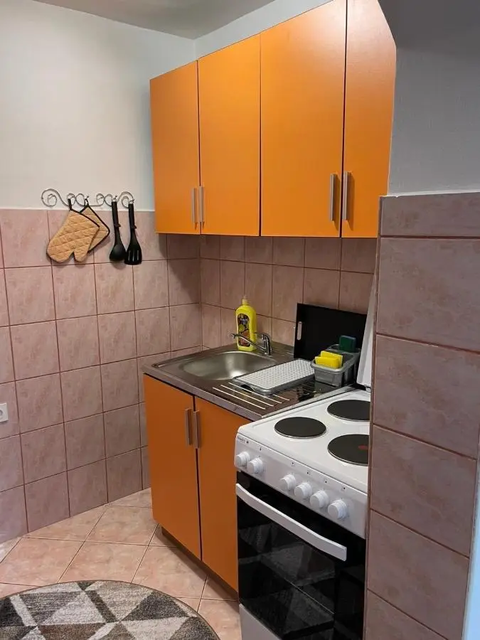 Studio Apartman Sedrenik