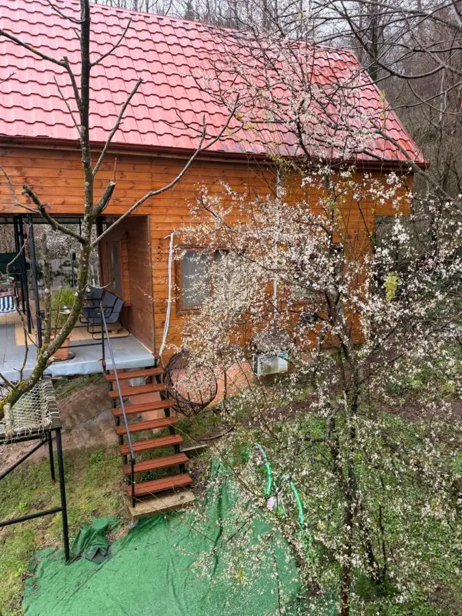 Cottage Sataplia