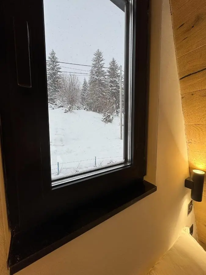 Bjelašnica Frame