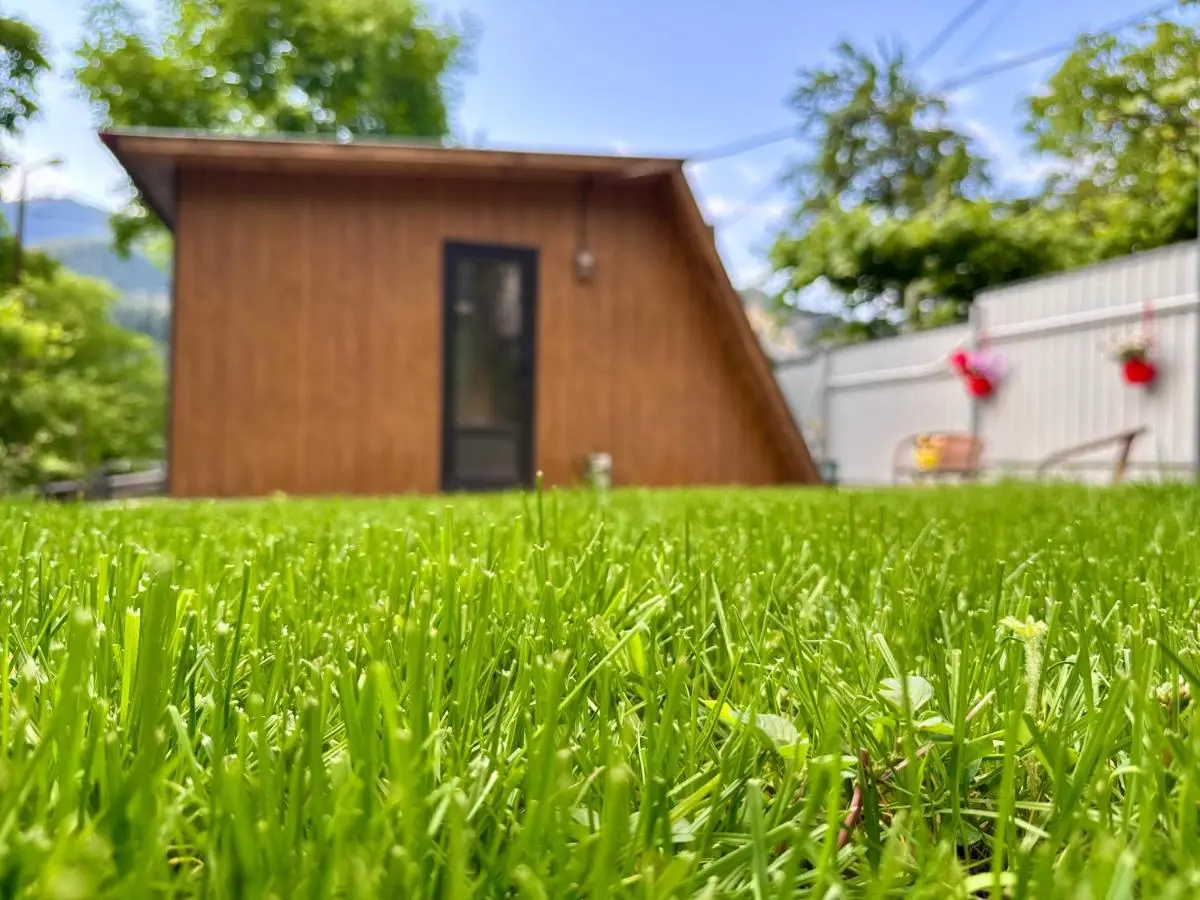 Buddy Cottage Borjomi