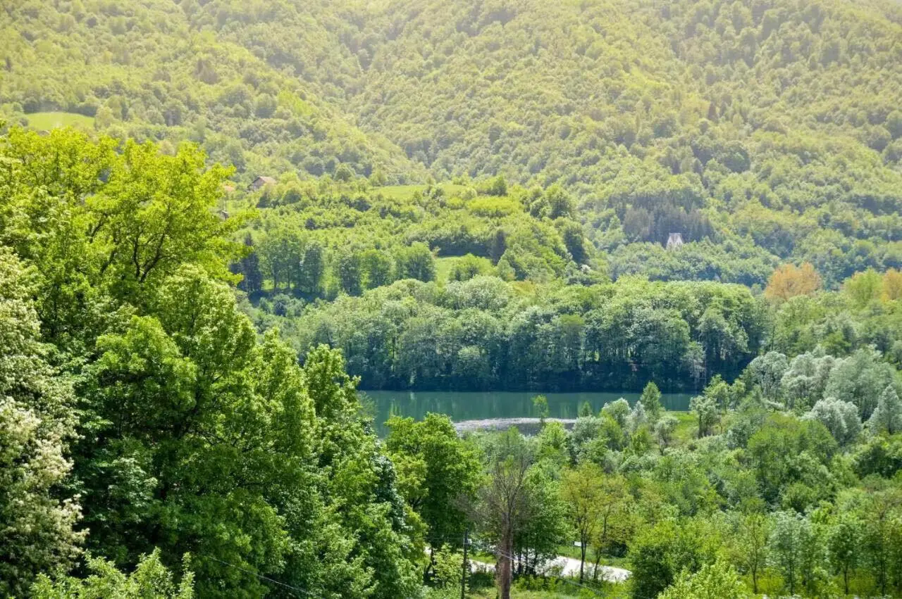 Guesthouse Marivo