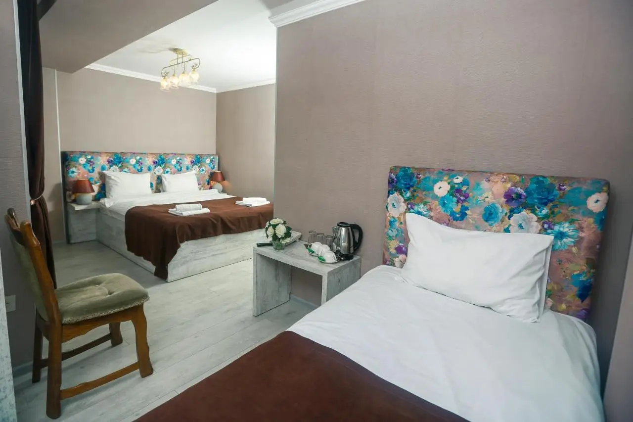 Hotel New Metekhi