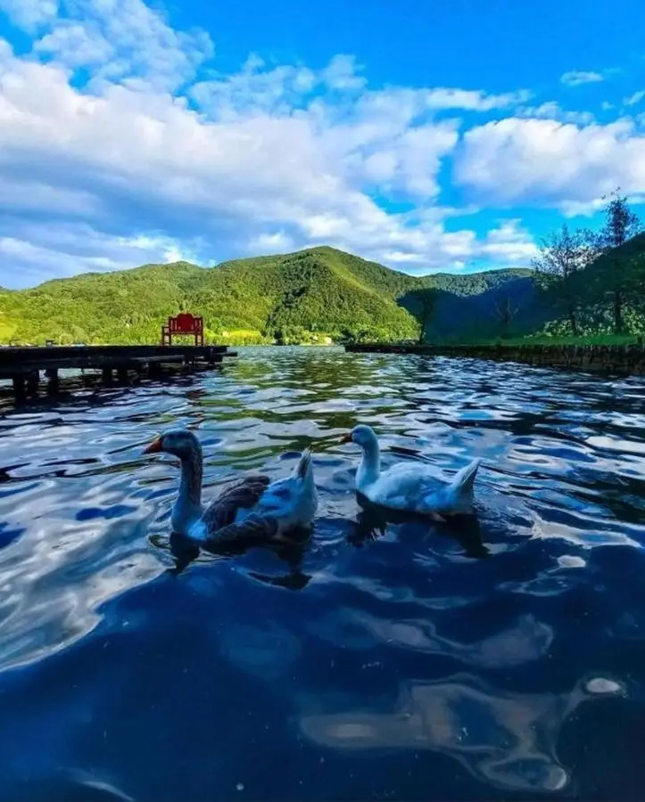 Villa Pliva Lake Jajce