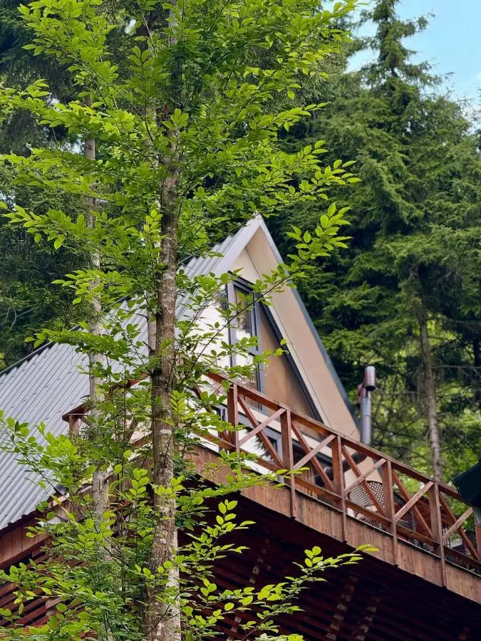 Montana Suite Bungalows