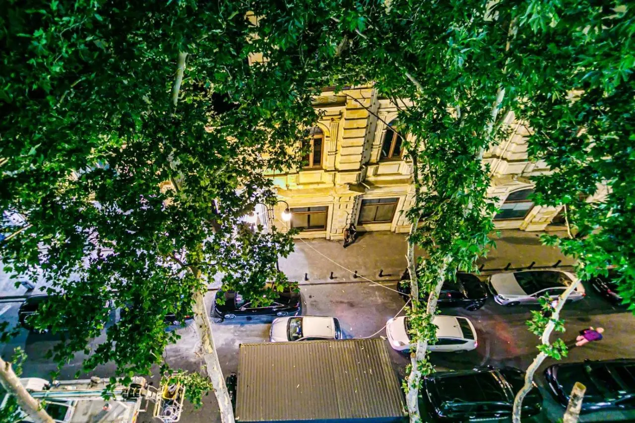Apartment New Park