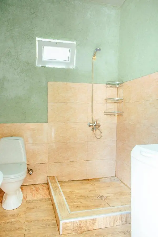 tsereteli's house