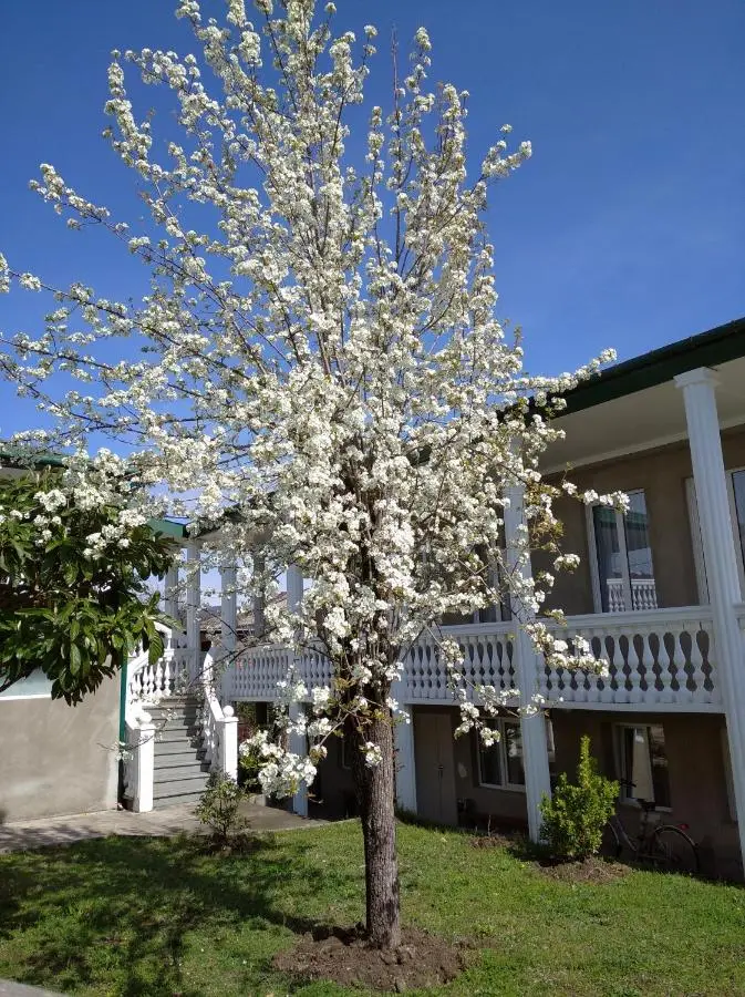 Tskaltubo Apartment Mirian Mepe