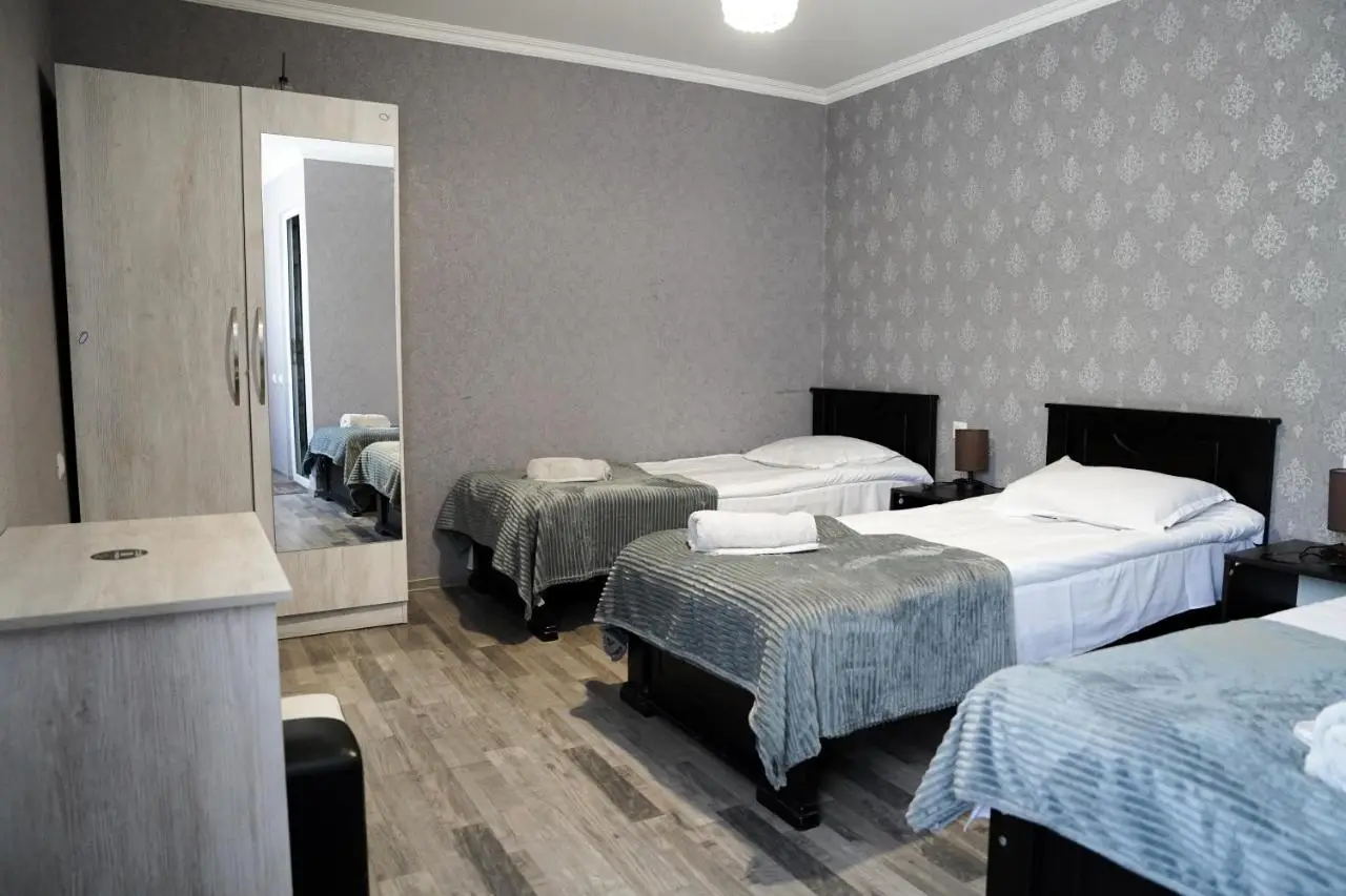 Hotel Elia Kazbegi
