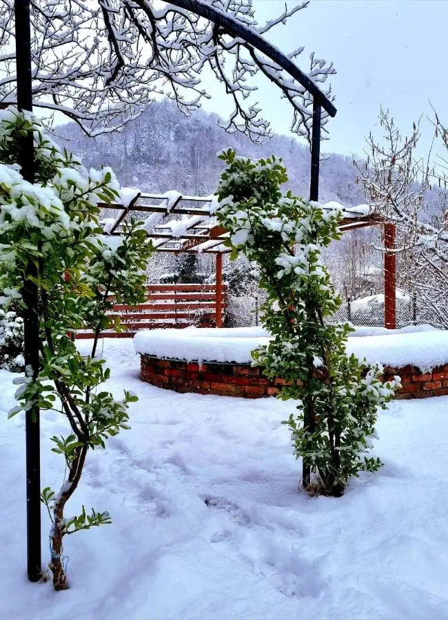 Villa Gelati