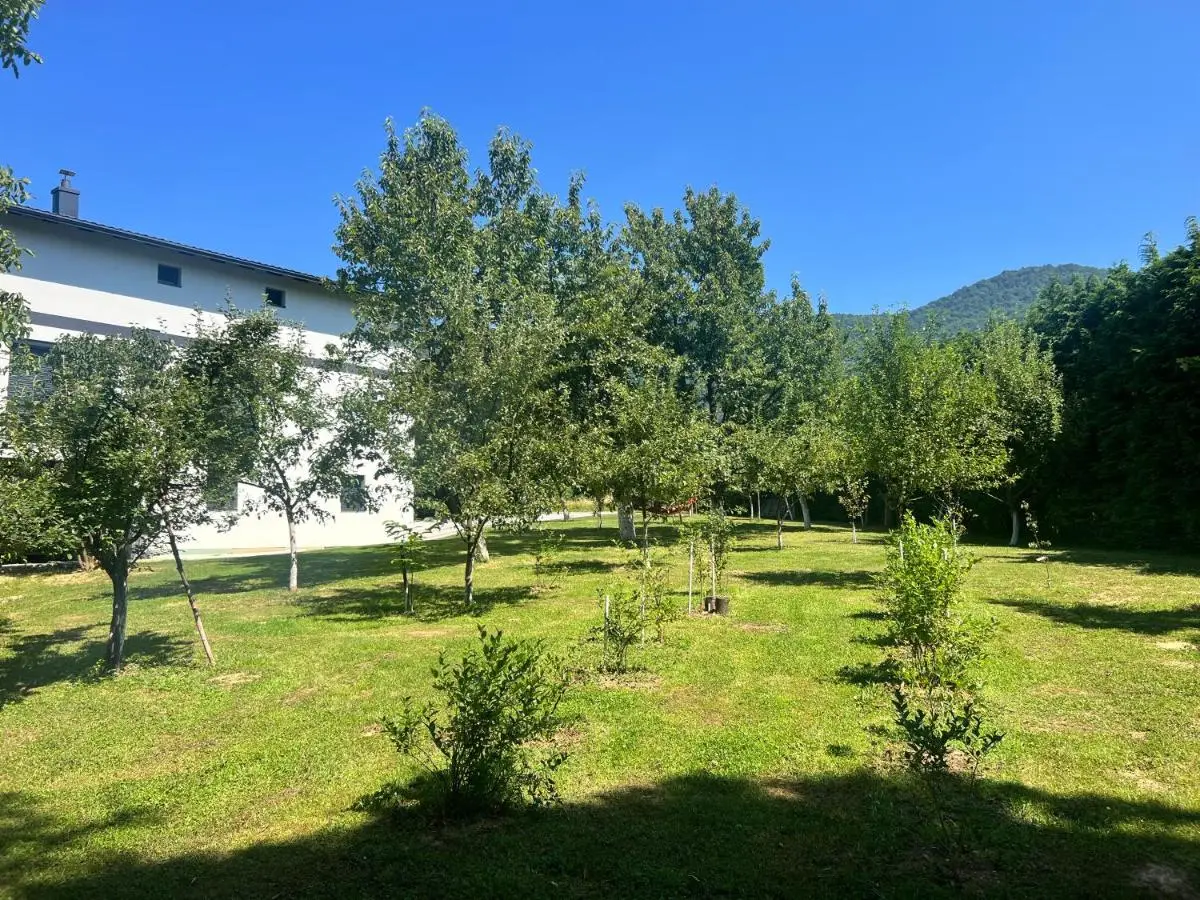 Hillside Villa