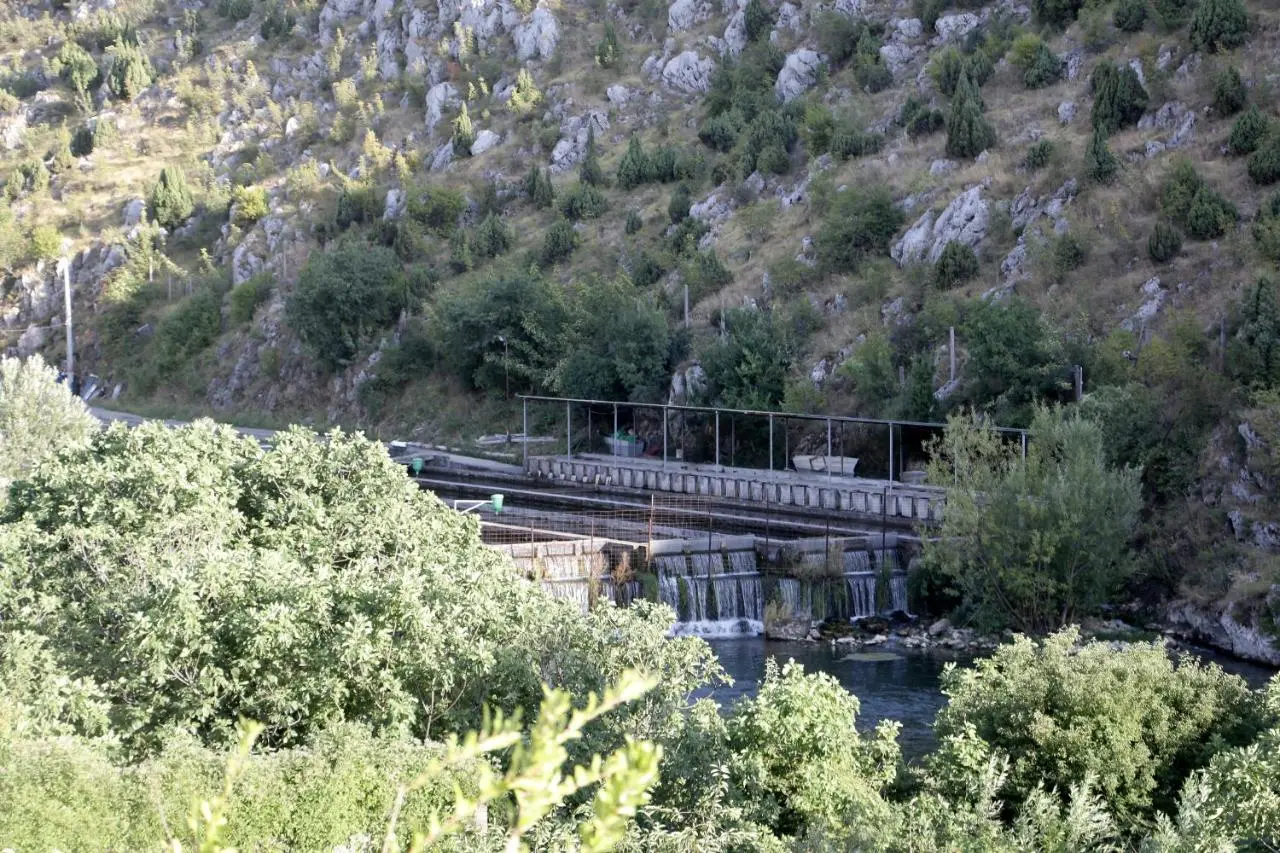 Villa San
