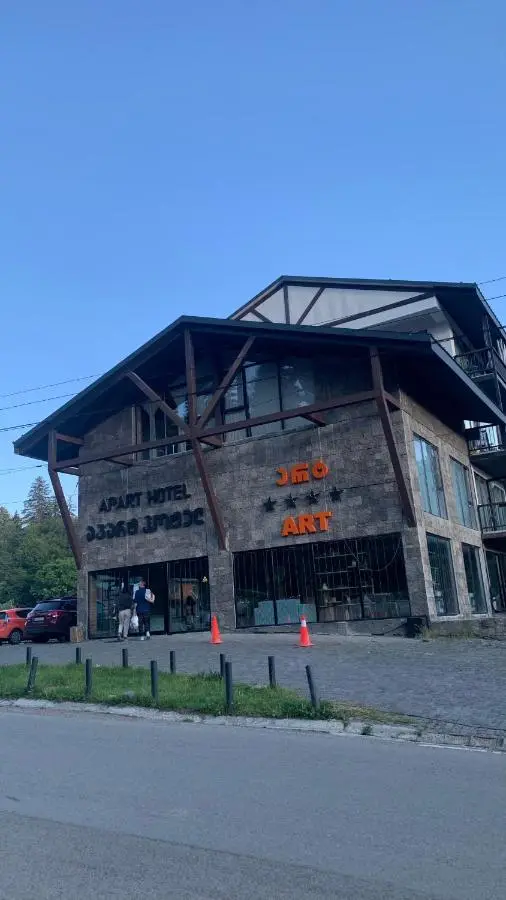 Bakuriani art apart hotel 203