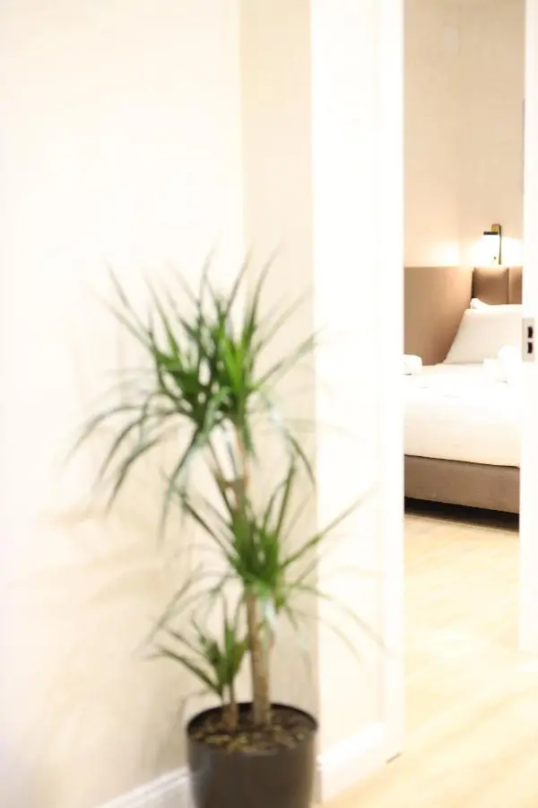 Rooms Kruja City
