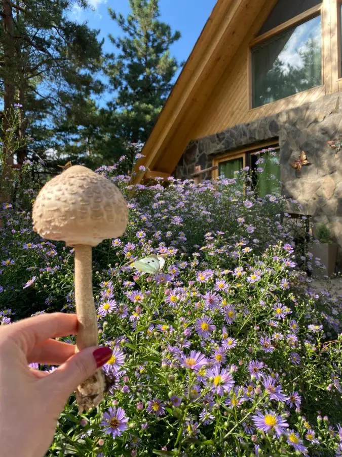 EcoCottage Didi Mindori
