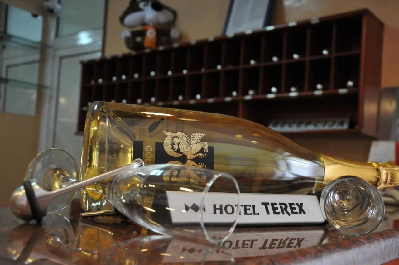 Hotel Terex