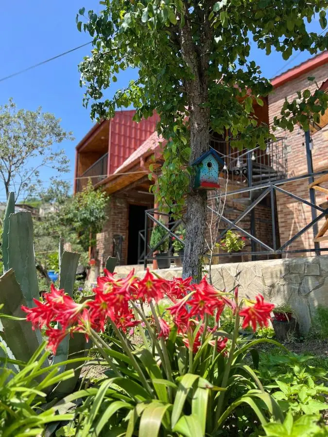 Sunshine House