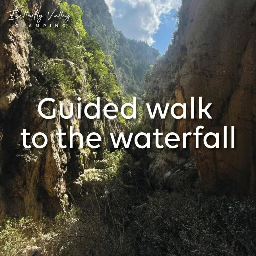 Butterfly Valley Seaside Glamping