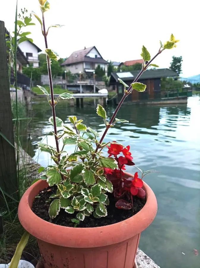 Dina apartman Jablaničko jezero