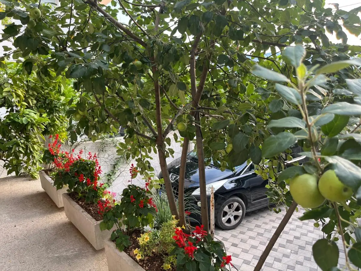 Farah Apartment