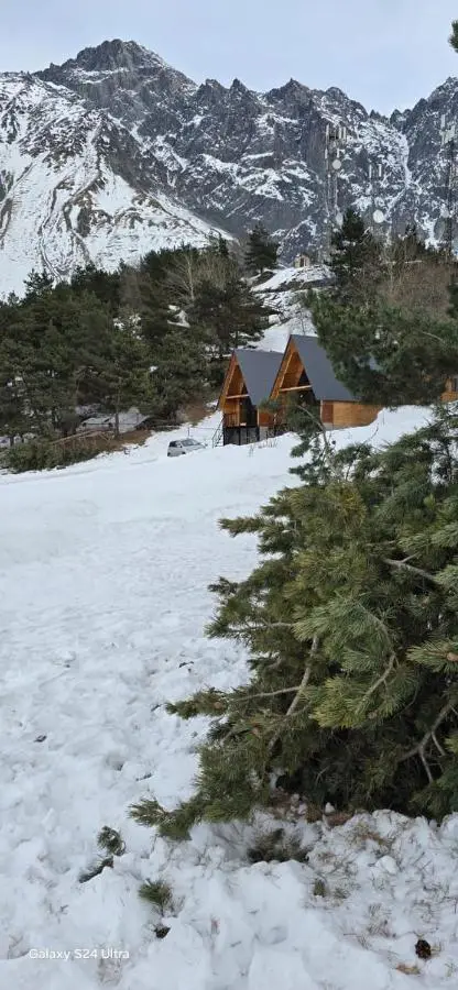 Cottage Paradise