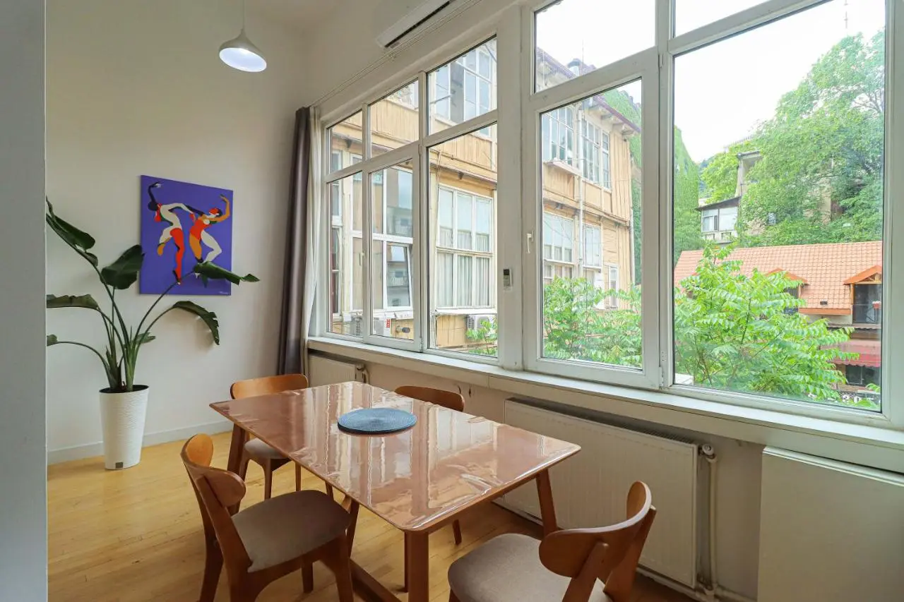 Stylish Apartment on Rustaveli Avenue