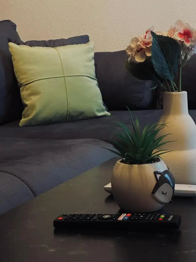 Apartman Fin