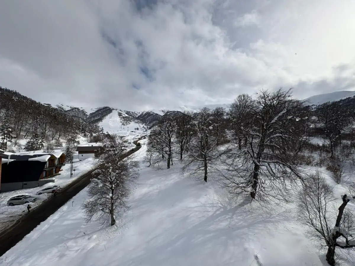 Bakuriani Valley 10
