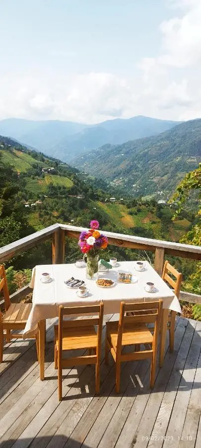 GREEN GUNDAURI