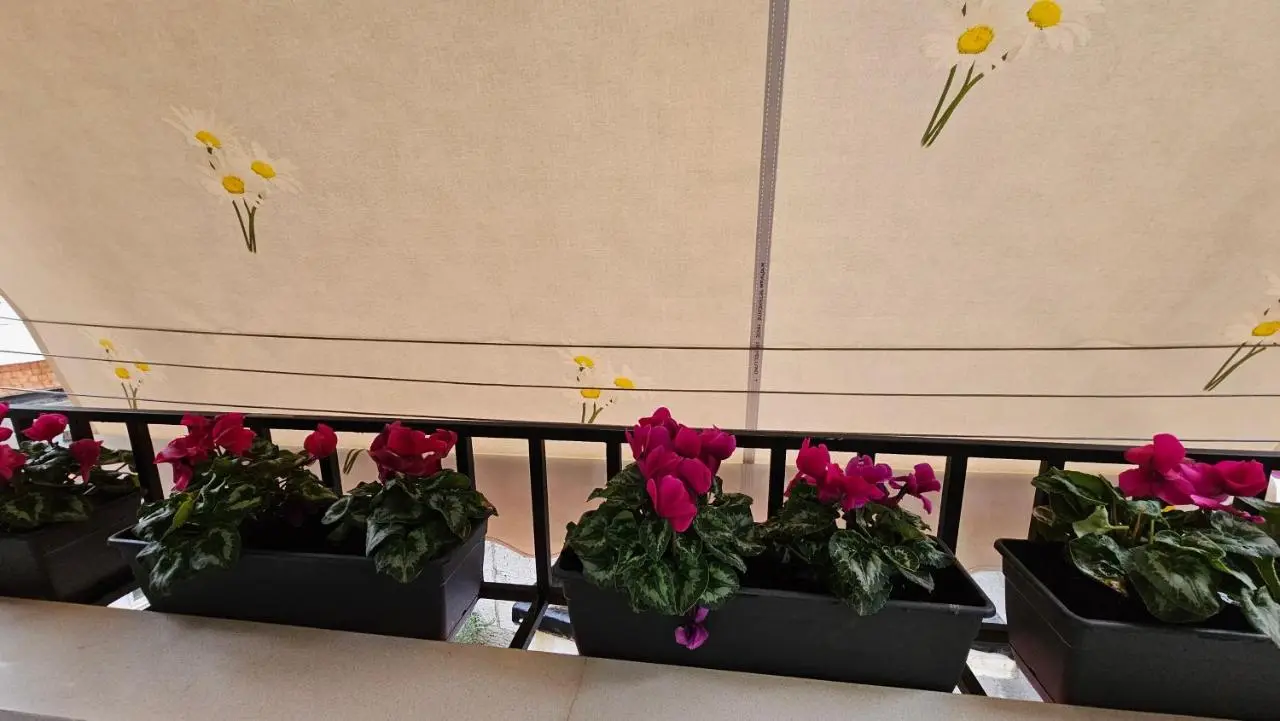 City Center Apartment