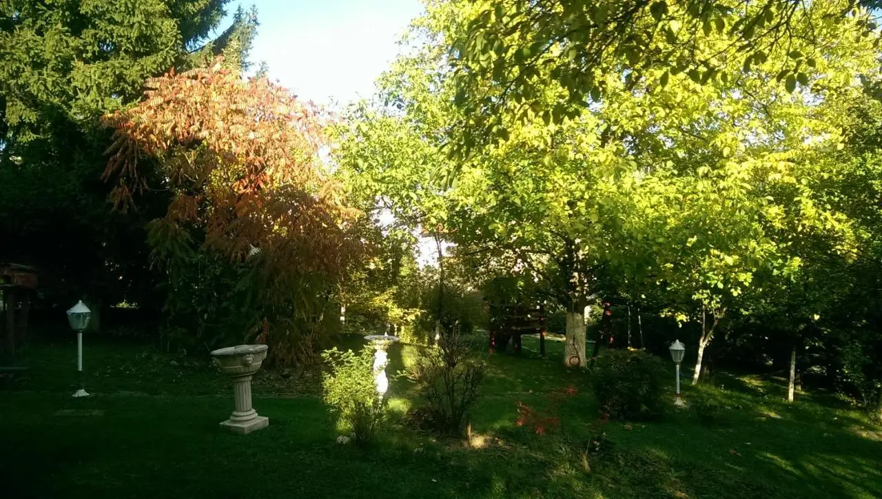 Green Garden