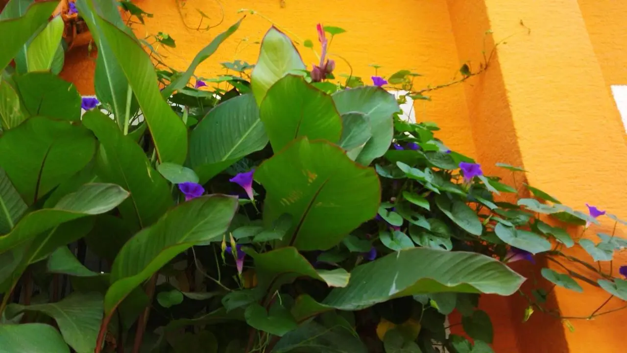 Sultan Hostel & Guesthouse