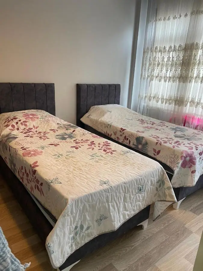 2 Apartment
