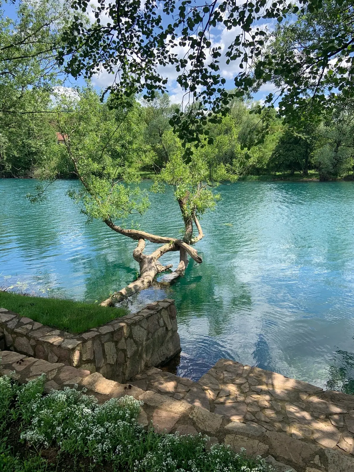 Entire residental home - Bihac