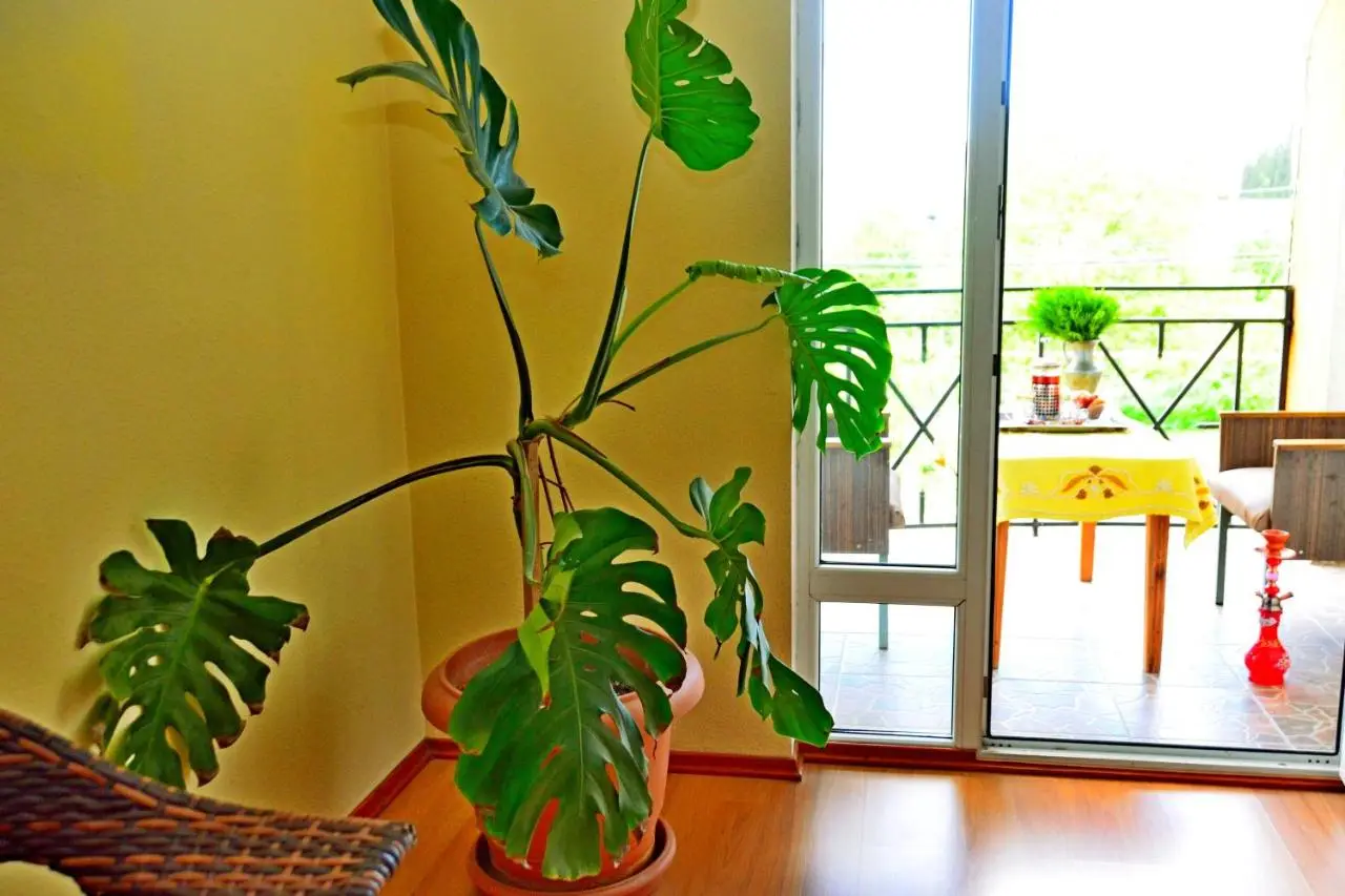 Boutique Hotel Eco-House 25 Tbilisi