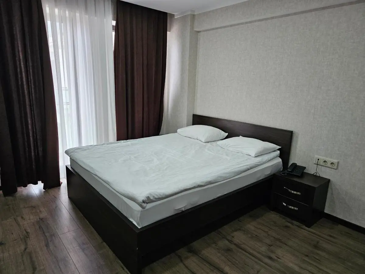 Bakuriani Orbi Palace Deluxe Apartment next to Mount Didveli