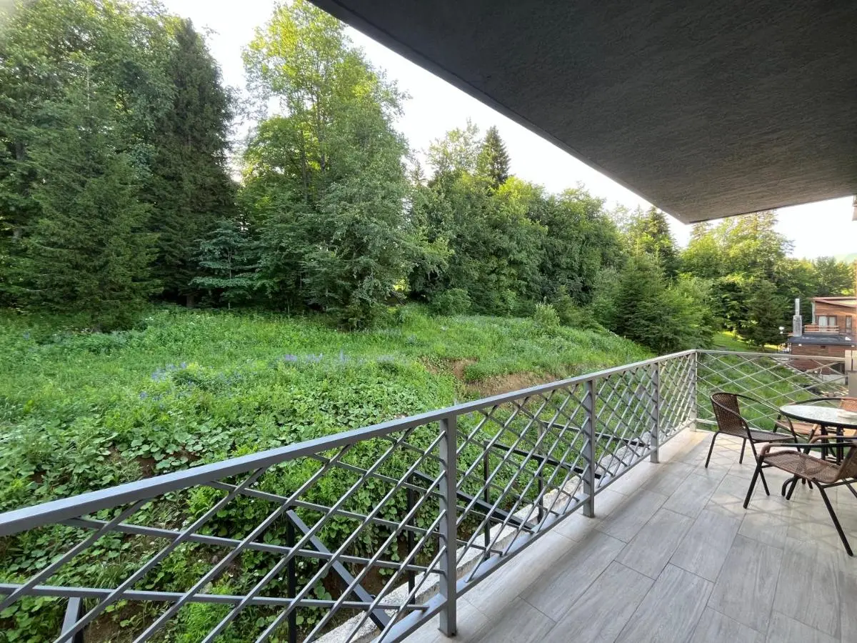 Bakuriani Hotel Apartments 301