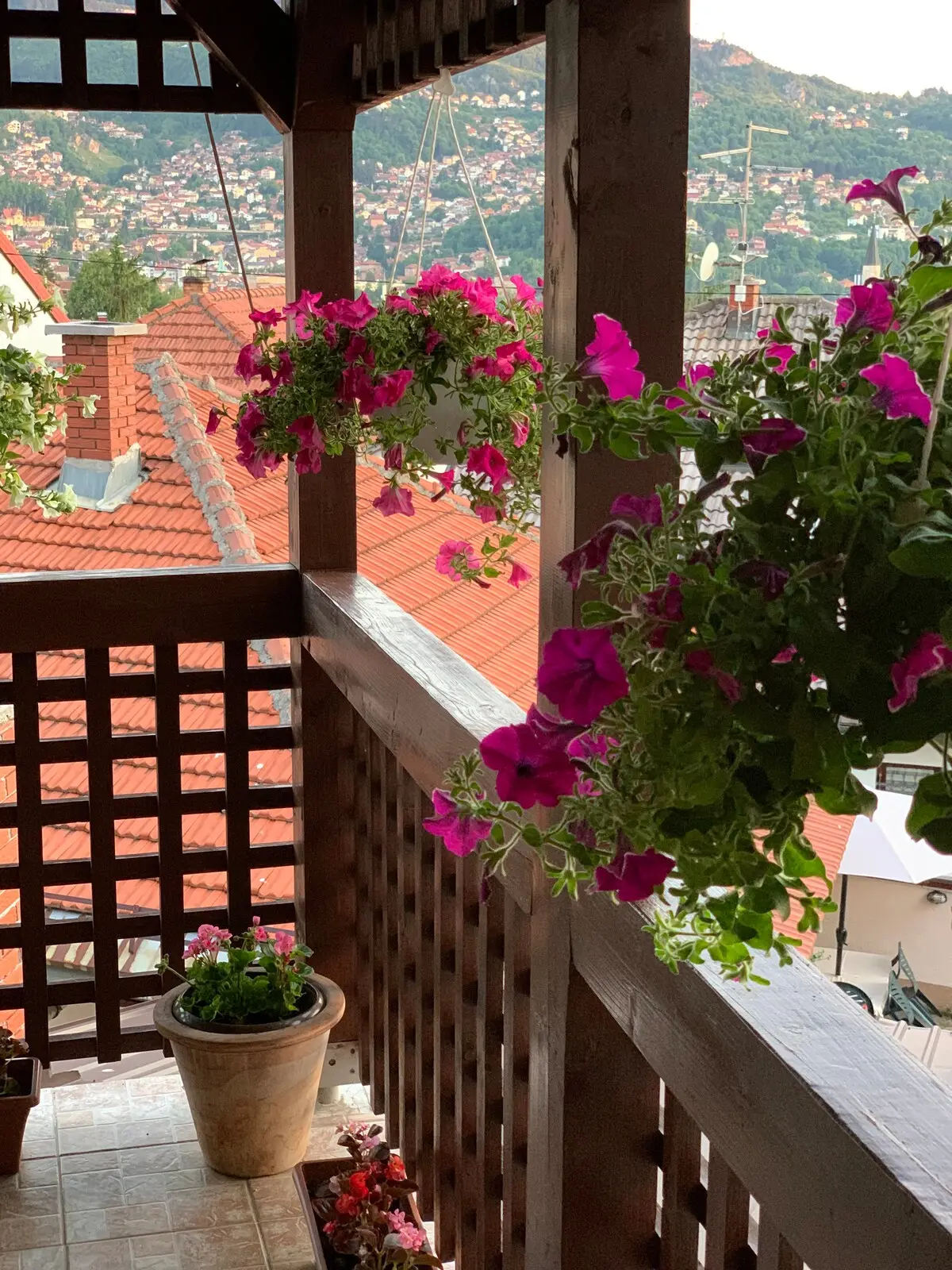 Omar’s view apartment