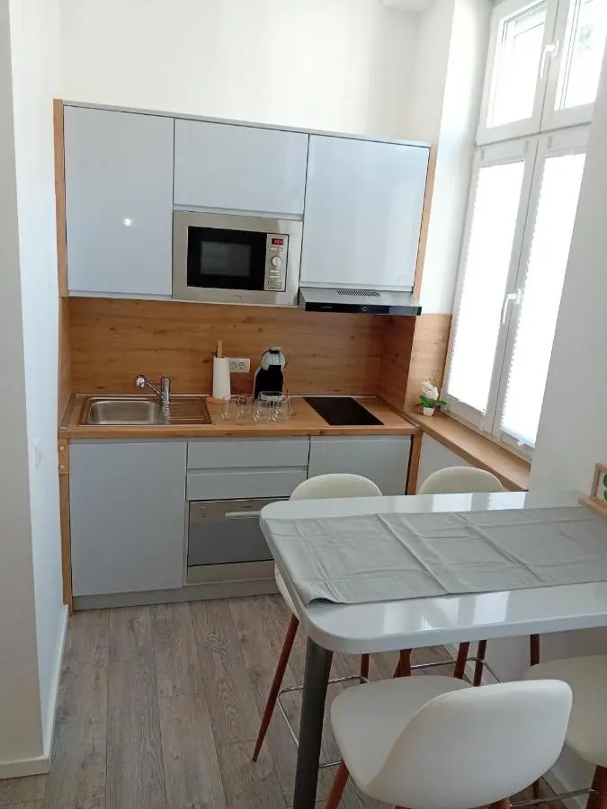 Apartments Studio Center